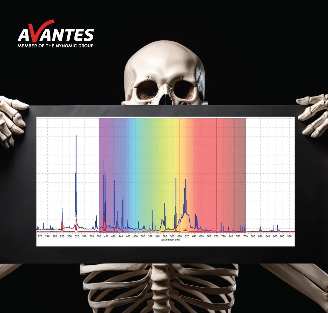 LIBS技術(shù)測量骨骼的光譜